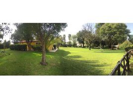  Terreno (Parcela) en alquiler en Puebla, Puebla, Puebla, Puebla