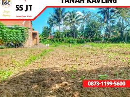  Tanah for sale in Malang Regency, East Jawa, Kepanjen, Malang Regency