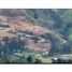  Land for sale in Belmira, Antioquia, Belmira