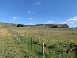  Terrain for sale in Balcarce, Buenos Aires, Balcarce