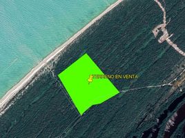  Grundstück zu verkaufen in Celestun, Yucatan, Celestun