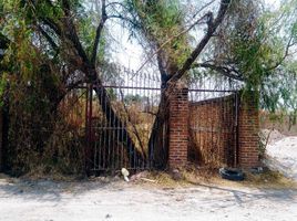  Terreno (Parcela) en venta en Juanacatlan, Jalisco, Juanacatlan