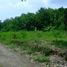  Land for sale in Yogyakarta, Kasihan, Bantul, Yogyakarta