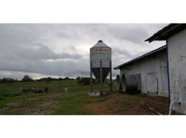 Studio Haus zu verkaufen in La Chorrera, Panama Oeste, El Coco