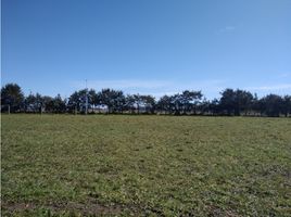  Grundstück zu verkaufen in General Pueyrredon, Buenos Aires, General Pueyrredon