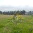  Land for sale in Chiquintad, Cuenca, Chiquintad