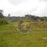  Land for sale in Chiquintad, Cuenca, Chiquintad