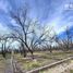  Land for sale in Durango, Durango, Durango, Durango