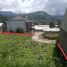 Terrain à vendre à Lembang, West Jawa, Lembang