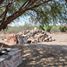  Land for sale in Tequisquiapan, Queretaro, Tequisquiapan, Queretaro
