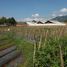  Land for sale in Tarogong, West Jawa, Tarogong, Garut