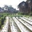  Land for sale in Tarogong, West Jawa, Tarogong, Garut