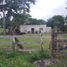 Studio House for sale in Carmen, Campeche, Carmen, Campeche