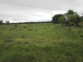 Studio House for sale in Carmen, Campeche, Carmen, Campeche