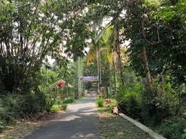  Land for sale in Yogyakarta, Seyegan, Sleman, Yogyakarta