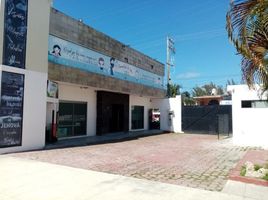 0 m² Office for rent in Campeche, Carmen, Campeche