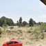  Land for sale in Tamuin, San Luis Potosi, Tamuin