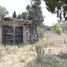  Land for sale in Tamuin, San Luis Potosi, Tamuin