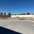  Land for sale in Torreon, Coahuila, Torreon, Coahuila, Mexico