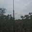  Land for sale in Linares, Nuevo Leon, Linares, Nuevo Leon, Mexico