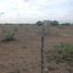  Land for sale in Linares, Nuevo Leon, Linares, Nuevo Leon, Mexico