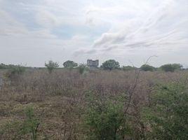  Land for sale in Linares, Nuevo Leon, Linares, Nuevo Leon, Mexico