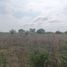  Land for sale in Linares, Nuevo Leon, Linares