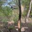  Terreno (Parcela) en venta en Allende, Nuevo León, Allende