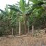  Land for sale in La Cumbre, Valle Del Cauca, La Cumbre