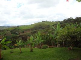  Land for sale in La Cumbre, Valle Del Cauca, La Cumbre