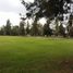  Land for sale in Tarimbaro, Michoacan, Tarimbaro