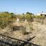  Terreno (Parcela) en venta en Irapuato, Guanajuato, Irapuato