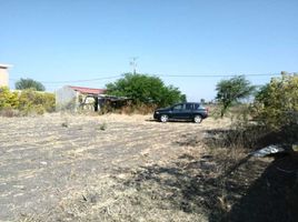 Terreno (Parcela) en venta en Irapuato, Guanajuato, Irapuato