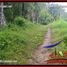  Land for sale in Selemadeg, Tabanan, Selemadeg