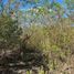  Terreno (Parcela) en venta en Merida, Yucatán, Merida