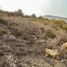  Terreno (Parcela) en venta en Compostela, Nayarit, Compostela, Nayarit