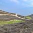  Terreno (Parcela) en venta en Compostela, Nayarit, Compostela, Nayarit