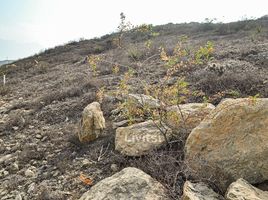  Terreno (Parcela) en venta en Compostela, Nayarit, Compostela, Nayarit