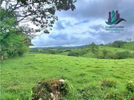 Studio Villa for sale in Bugaba, Chiriqui, Volcan, Bugaba