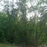  Land for sale in Liloan, Central Visayas, Liloan