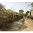  Land for sale in Santa Marta, Magdalena, Santa Marta