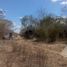  Land for sale in Hunucma, Yucatan, Hunucma
