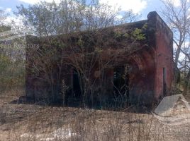  Land for sale in Hunucma, Yucatan, Hunucma