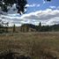  Terreno (Parcela) en venta en Chile, Nueva Imperial, Cautín, Araucanía, Chile