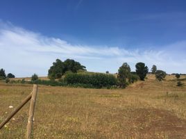  Terreno (Parcela) en venta en Chile, Nueva Imperial, Cautín, Araucanía, Chile