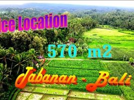  Land for sale in Selemadeg, Tabanan, Selemadeg