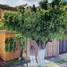 Maison 2 chambre à vendre à Guadalajara, Jalisco, Guadalajara
