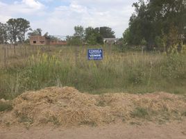  Terreno (Parcela) en venta en Brandsen, Buenos Aires, Brandsen