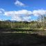  Terreno (Parcela) en venta en Los Lagos, Neuquen, Los Lagos