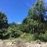  Terreno (Parcela) en venta en Los Lagos, Neuquen, Los Lagos